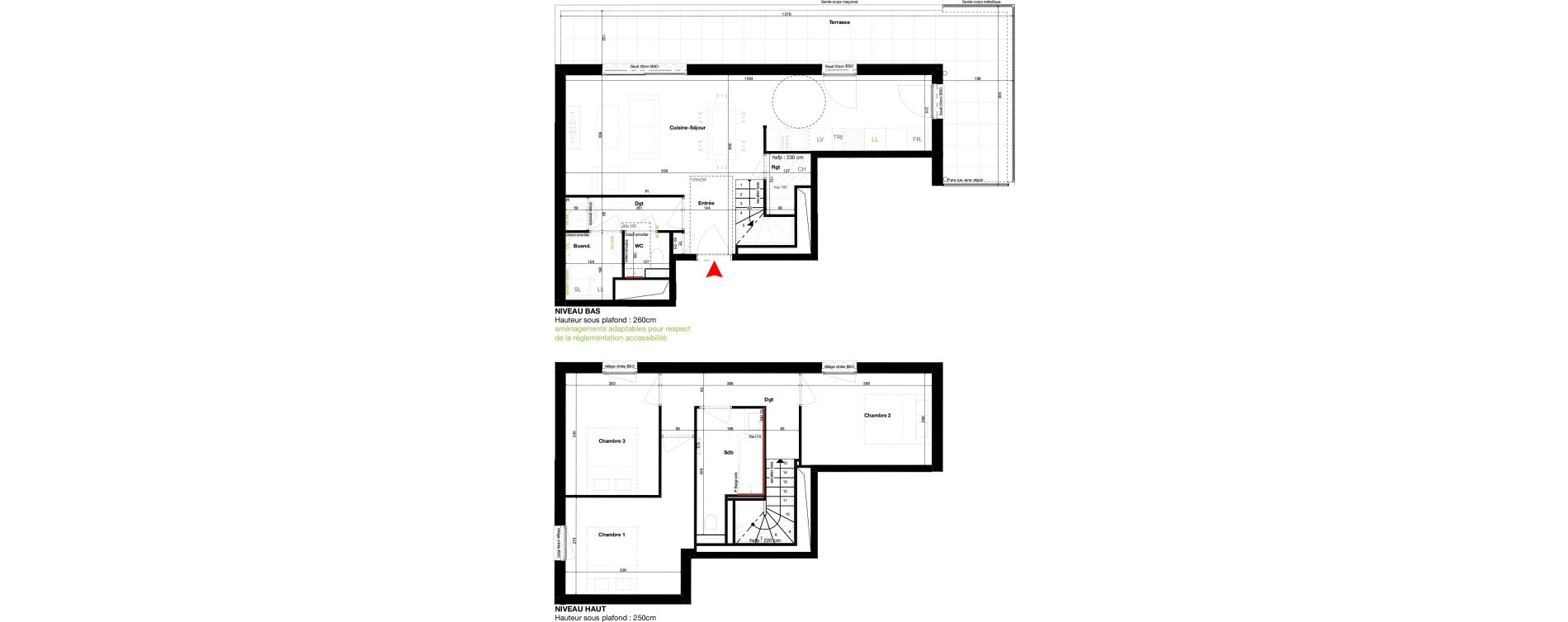 Duplex T4 de 80,71 m2 &agrave; Lyon Petite guille (8eme)