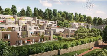 Saint-Cyr-au-Mont-d'Or programme immobilier neuf « Domaine 17eme » 