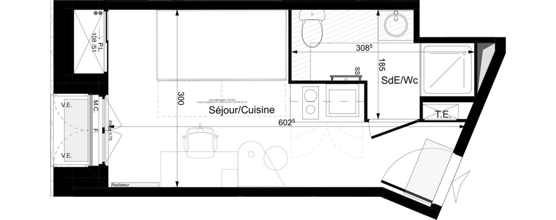 Appartement T1 meubl&eacute; de 17,72 m2 &agrave; Tours Grammont