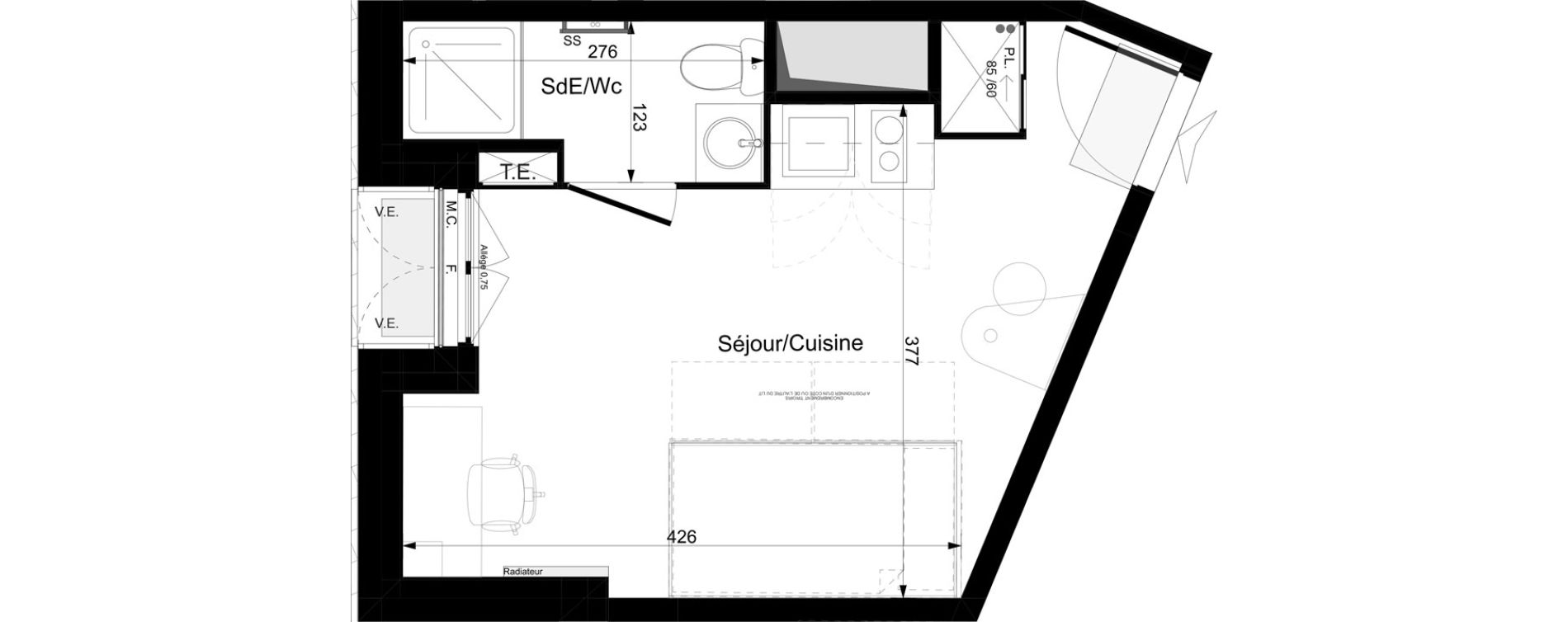 Appartement T1 meubl&eacute; de 19,99 m2 &agrave; Tours Grammont