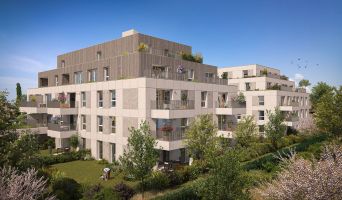 Programme immobilier neuf à Bischheim (67800)