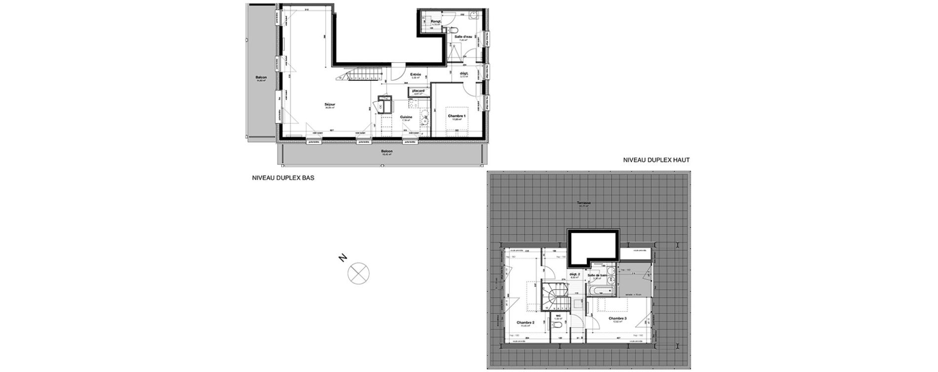 Duplex T4 de 109,71 m2 &agrave; Nancy Rives de meurthe
