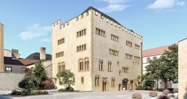 Metz programme immobilier à rénover « Commanderie Saint-Antoine » en Loi Malraux 