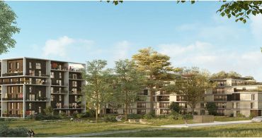 Massy programme immobilier neuf « Les Sequoias - Canopée » 