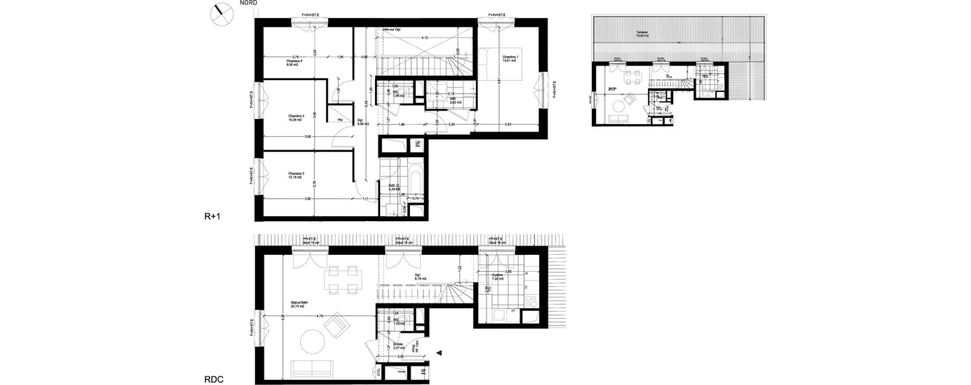 Duplex T5 de 107,22 m2 &agrave; Rungis Montjean