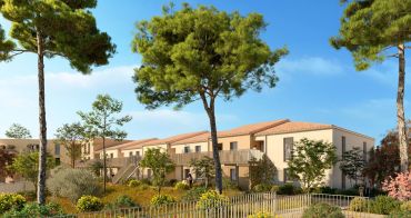 Aigues-Mortes programme immobilier neuf « L'Elégante » 