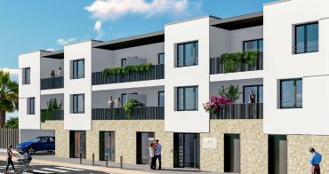 Castelnau-le-Lez programme immobilier neuf « Silk » 