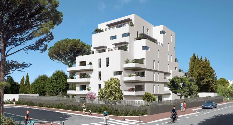 Photo du Programme immobilier n°213654