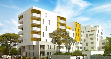 Montpellier programme immobilier neuf « Le 216 » 