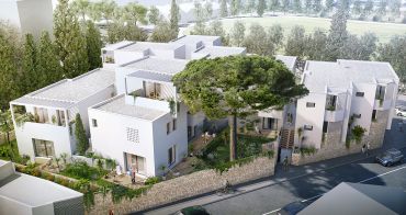 Montpellier programme immobilier neuf « Le Clos des Aloès » 