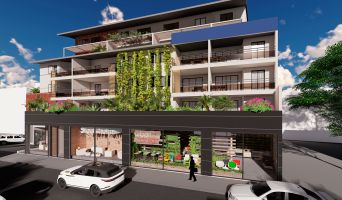 investissement immobilier 974