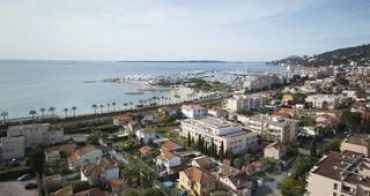 Vallauris programme immobilier neuf « Golfe - Juan Les Voiles Blanches » 